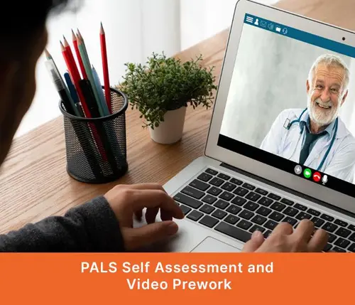 PALS Self Assessment and Video Prework