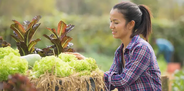 How to Start a Farm Development Project in Kerala Without Being There