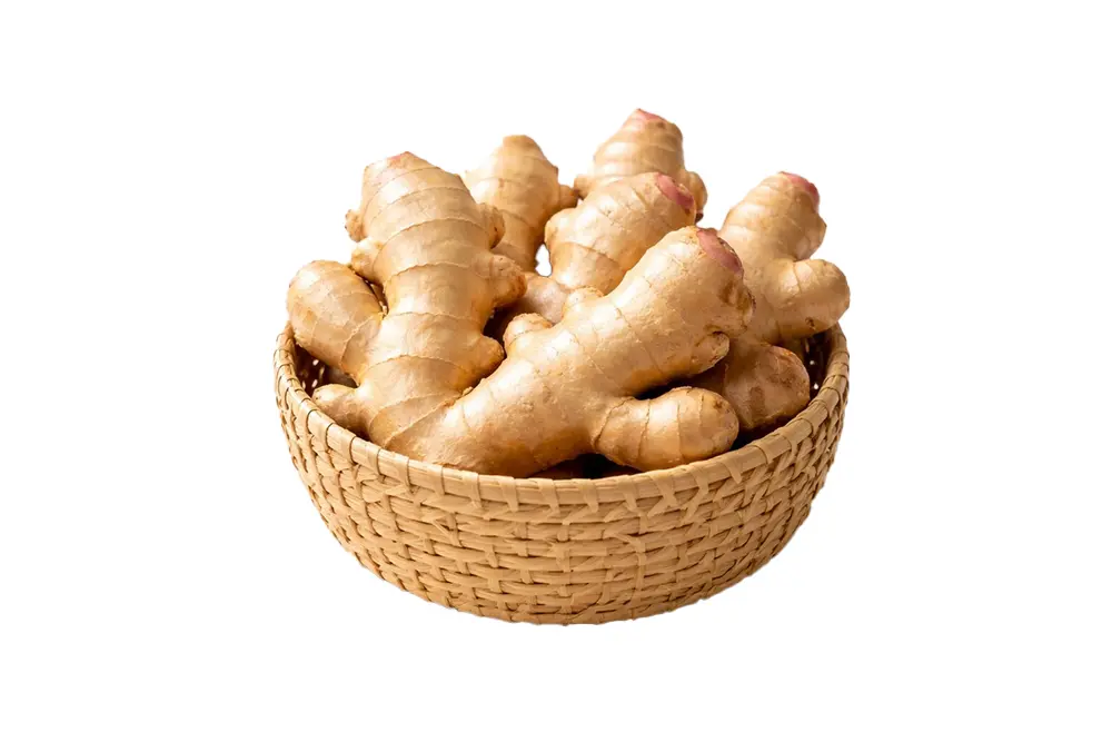 Ginger