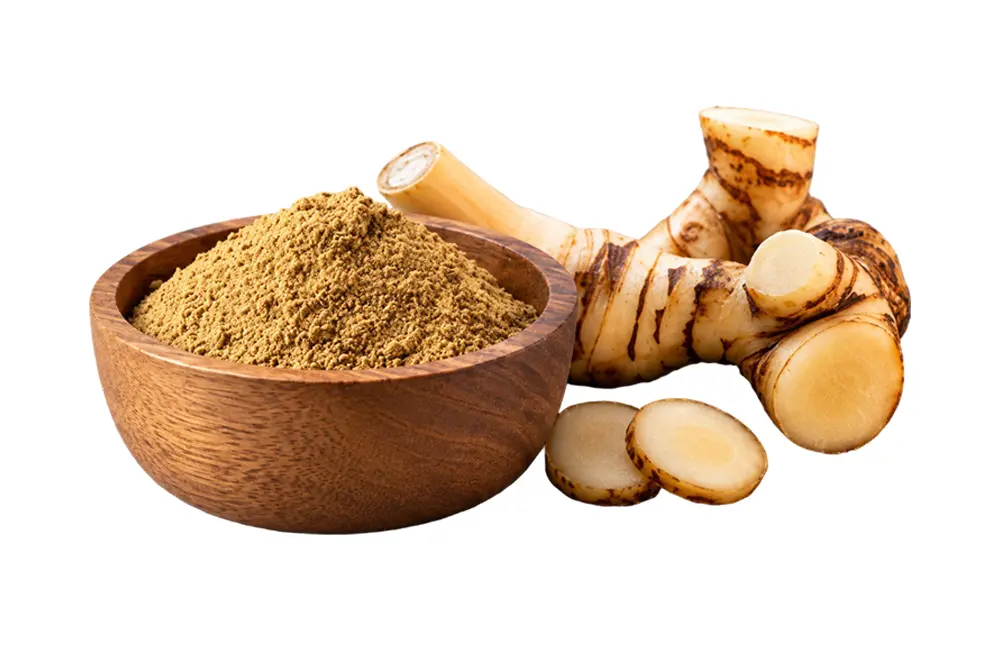 Galangal