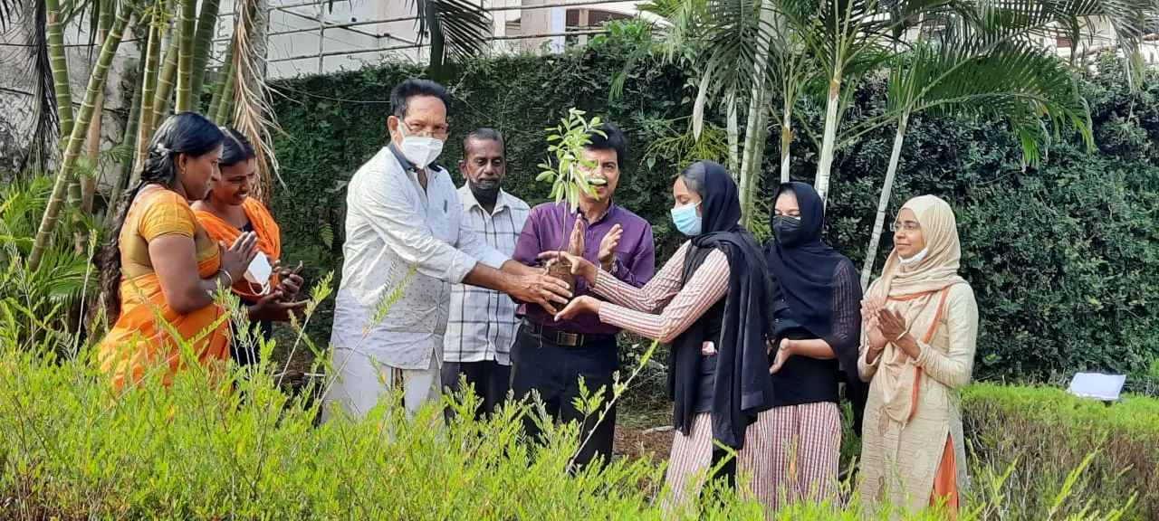 Planting Sandal wood seedlings in Campus by Mehjooba,1st year B.Com Taxation on 08/02/2022.