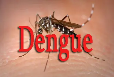 Dengue; an ayurvedic perspective