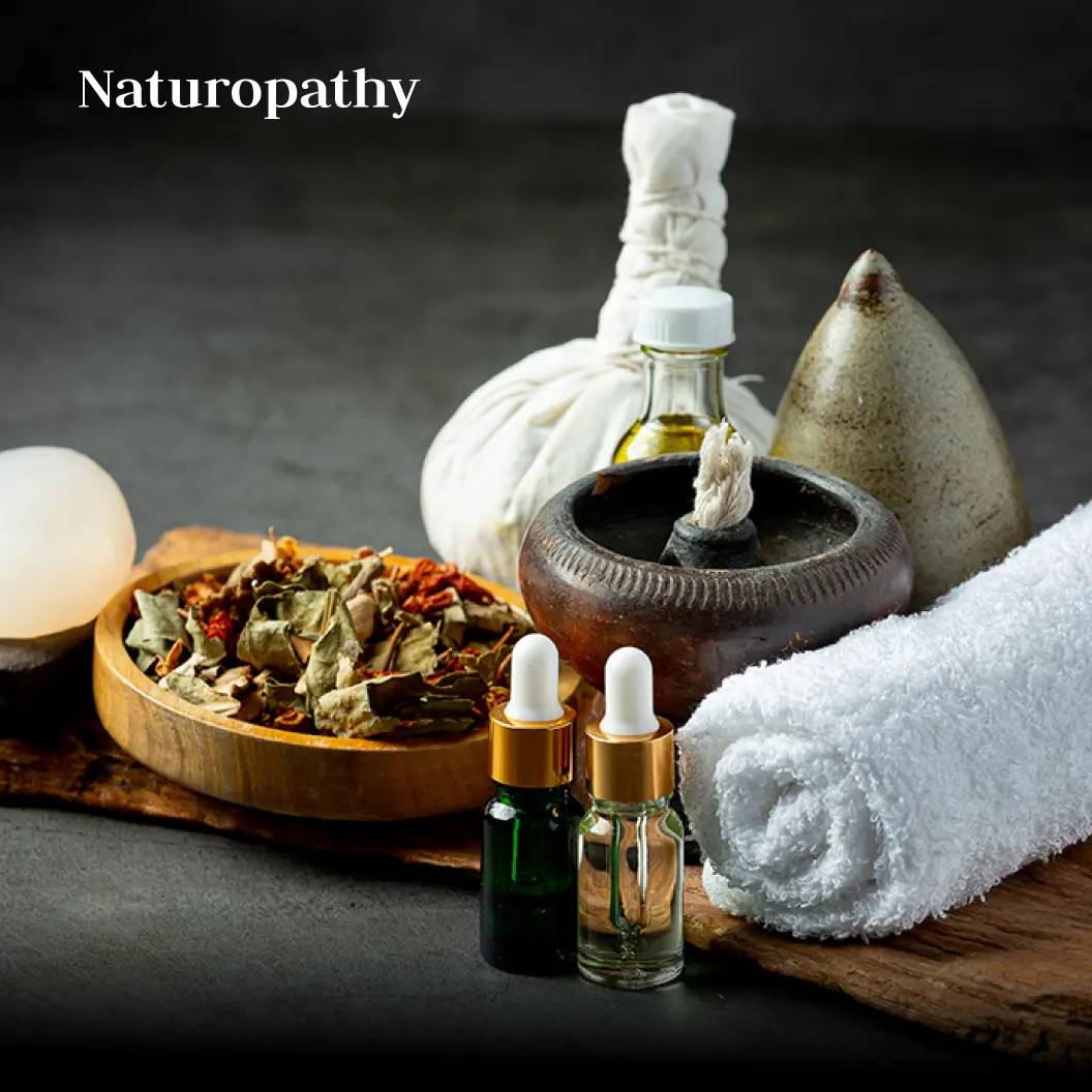 Introduction to Naturopathy: A Holistic Path to Wellness 