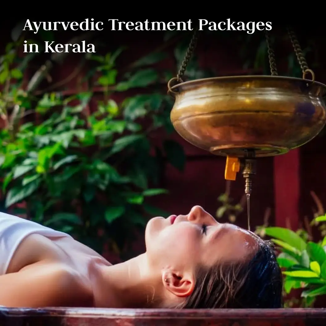 Ayurvedic Treatment Packages in Kerala: A Holistic Approach to Wellness 