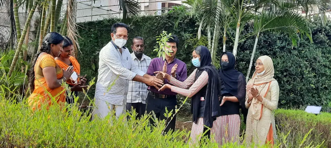 Planting Sandal wood seedlings in Campus by Mehjooba,1st year B.Com Taxation on 08-02-2022