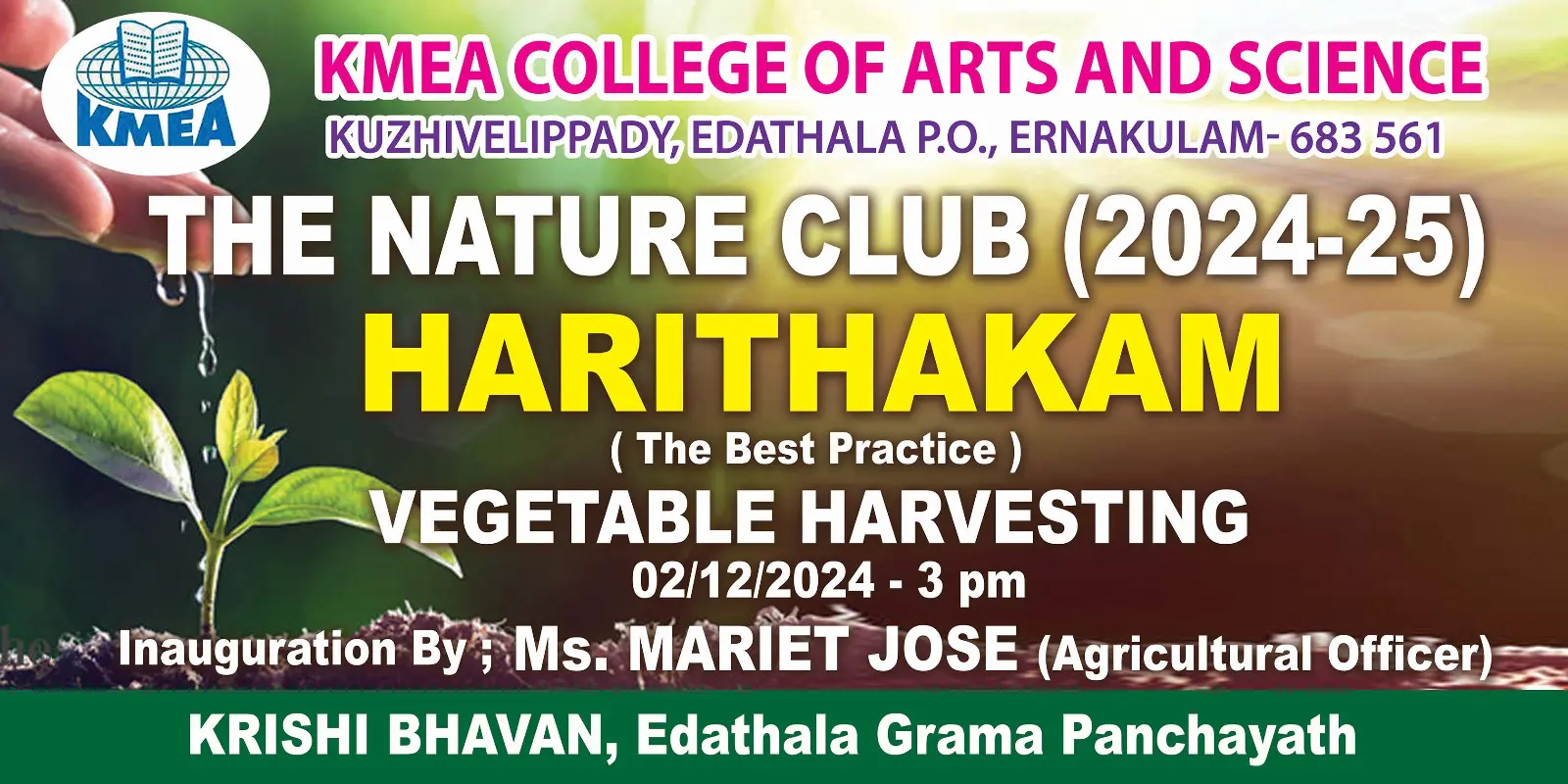 HARITHAKAM -- Campus Cultivation - (The Best Practice ) Vegetable Harvesting -Inauguration by Agricultural Officer, Edathala KRISHI BHAVAN -on 02/12/2024.  3 p. m.