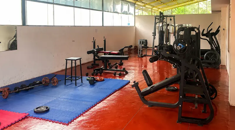 Gymnasium