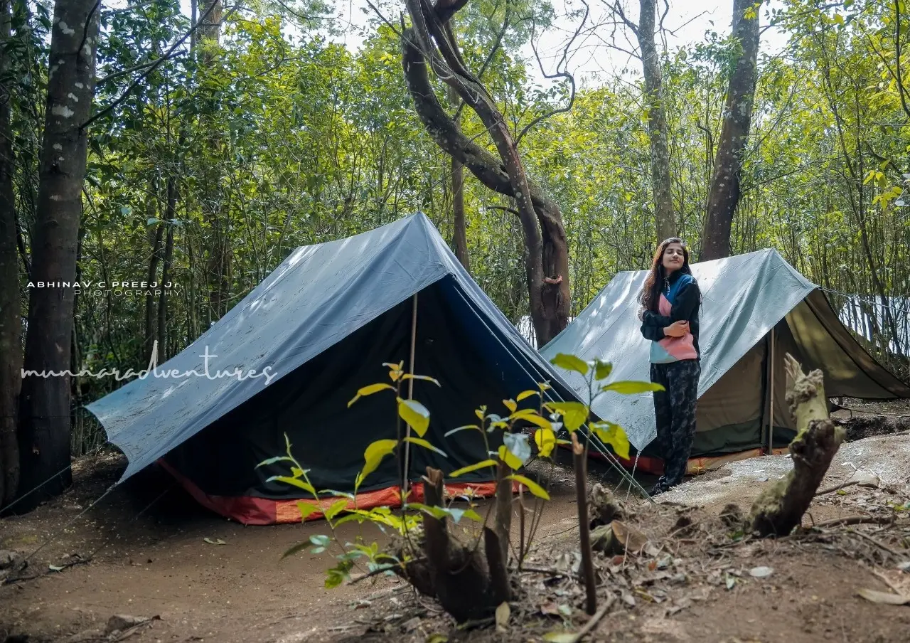 Forest Camping in Munnar- Camp Tea Forest-Kolukkumalai Camping and Sunrise