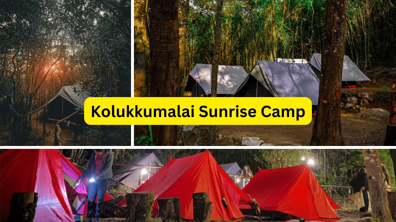 Kolukkumalai Sunrise Camp