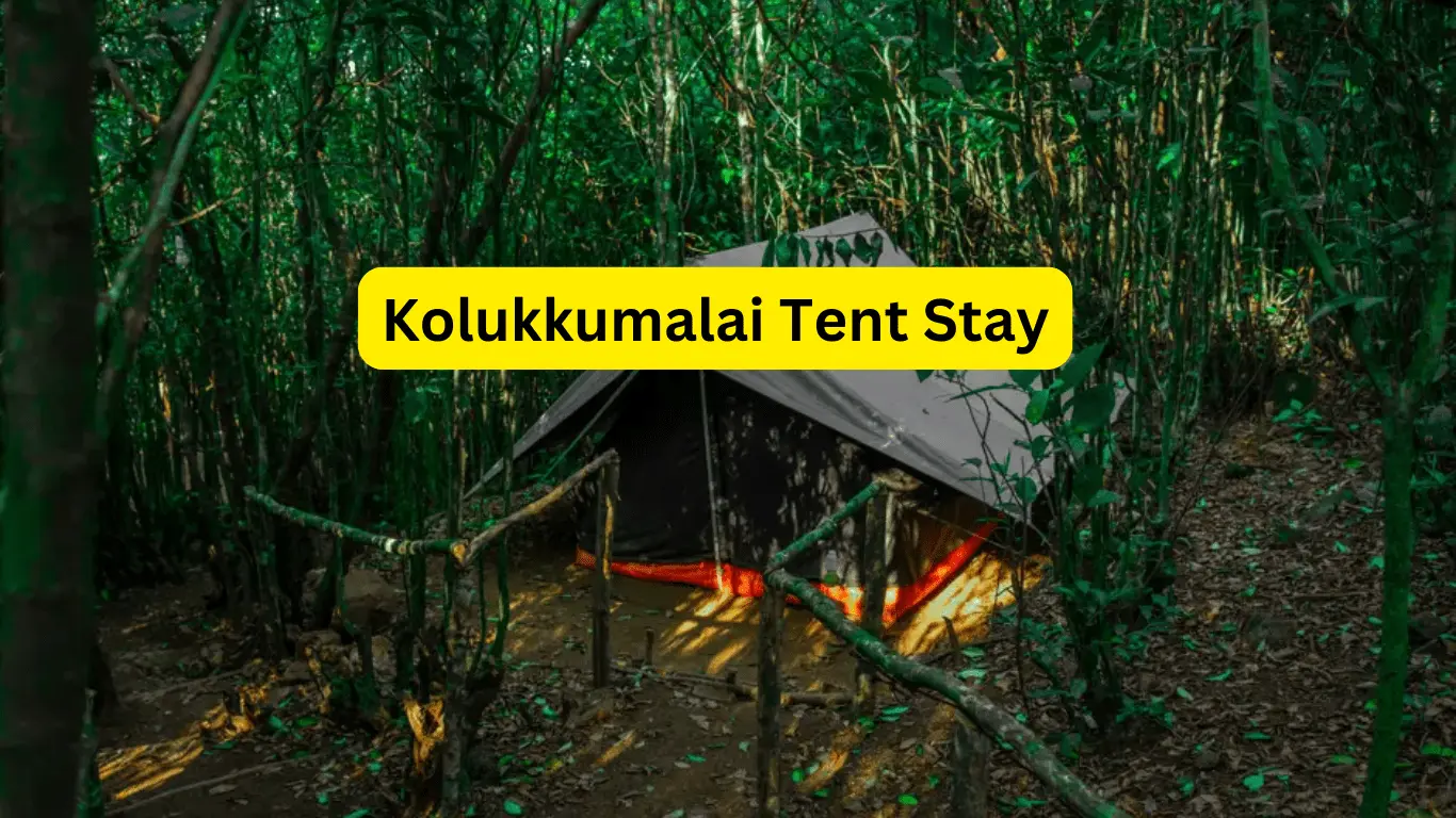 Kolukkumalai Tent Stay