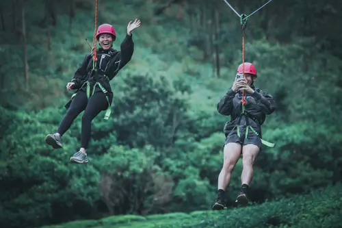 Zipline