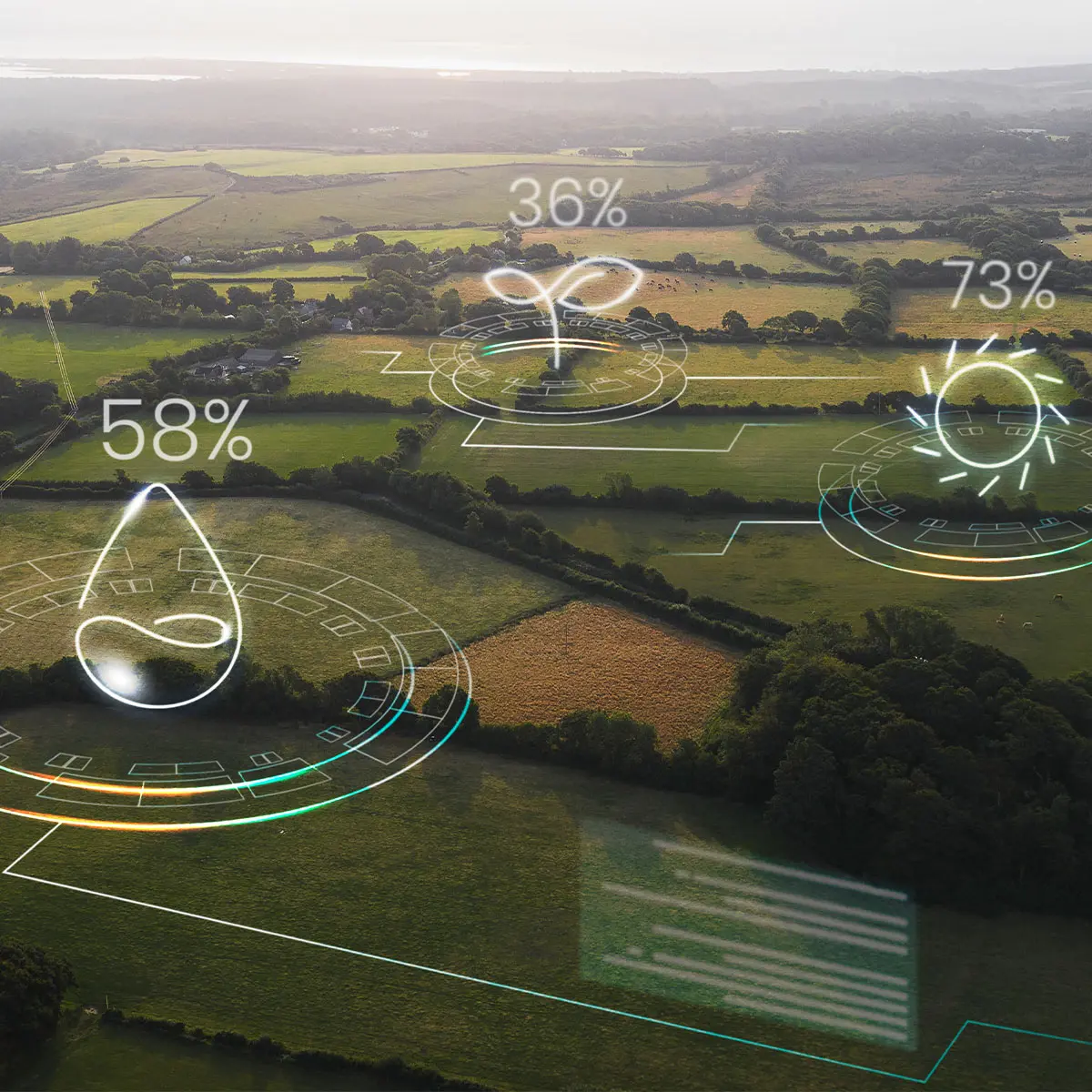 How Does Our Free Carbon Calculator Work?