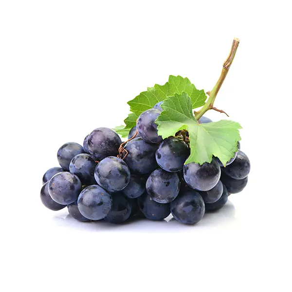 GRAPES