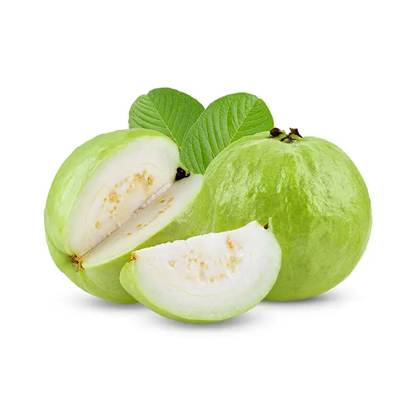 GUAVA