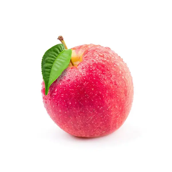 سيدة الوردية     