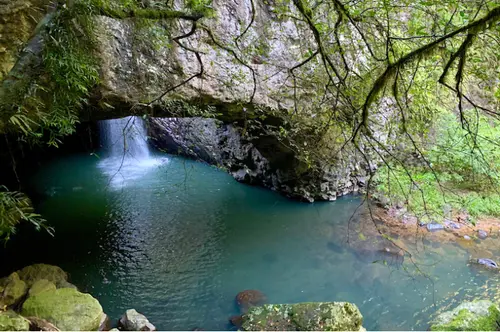 Springbrook National Park Upgrades