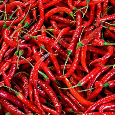 DRY RED CHILLY