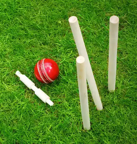 Cricket