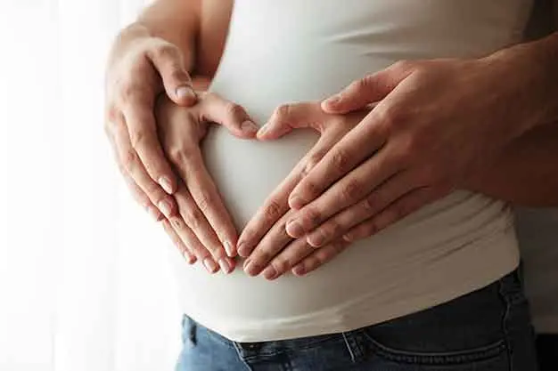 Garbhini Paricharya (Pregnancy Care)