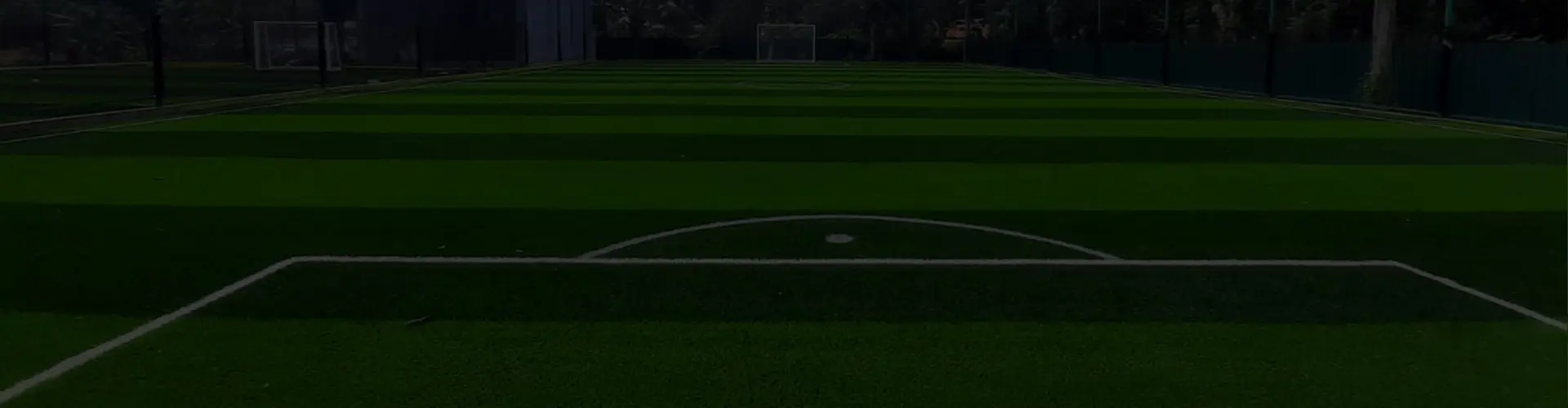 Multi Sport Turf