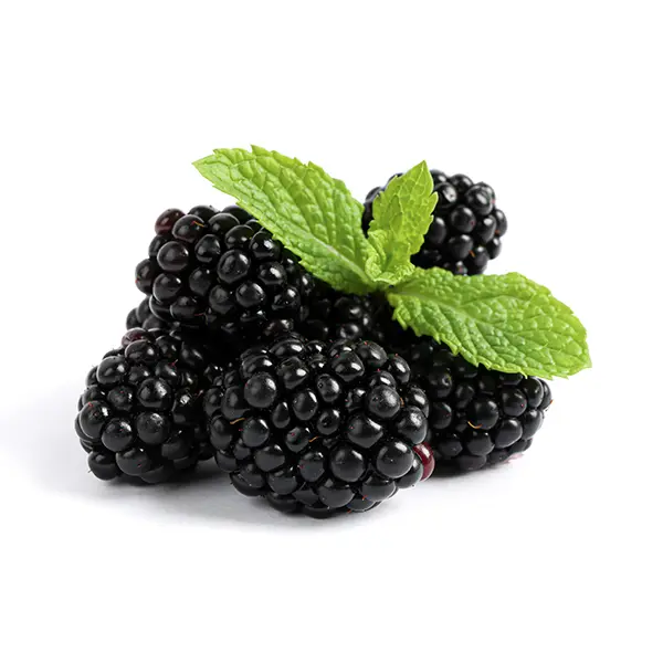 BLACKBERRY