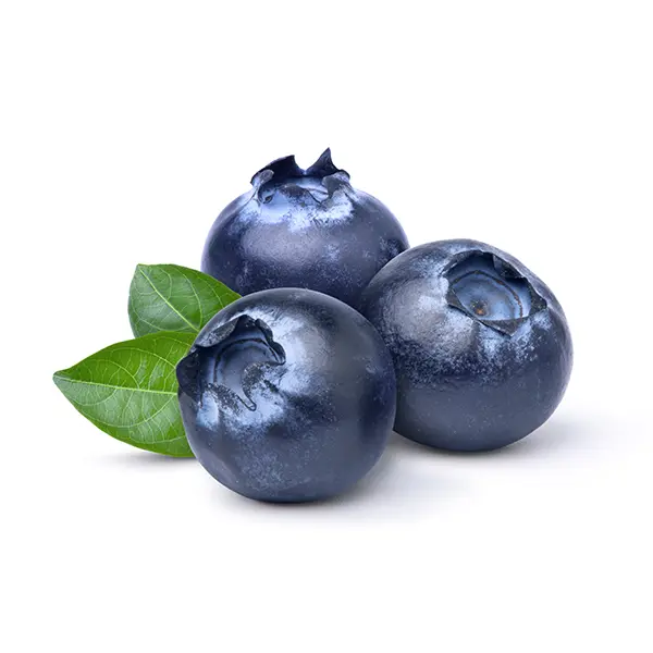 BLUEBERRY