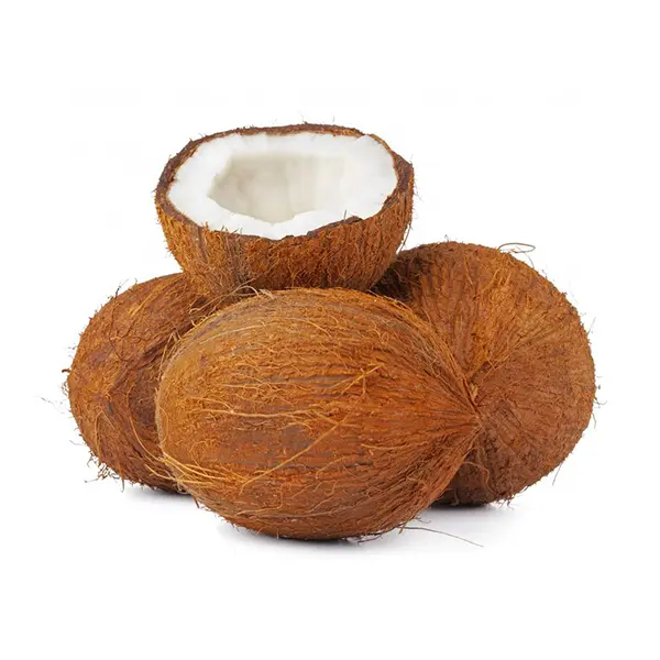 جوز الهند