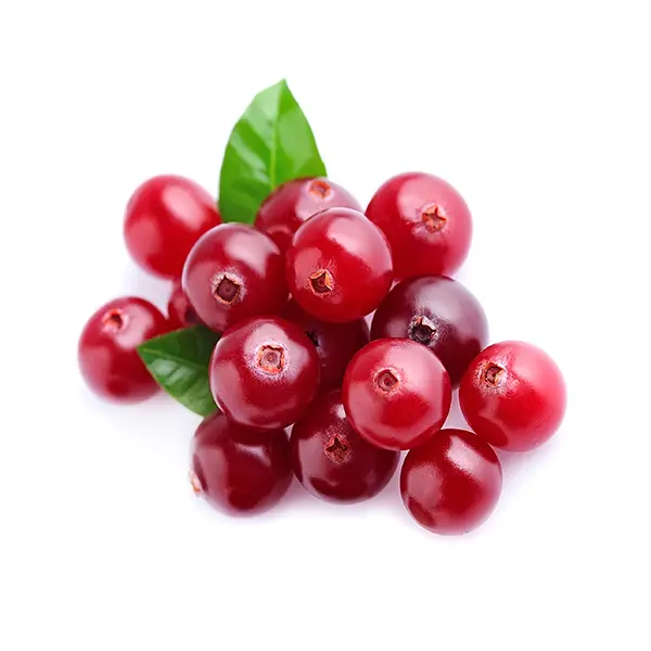 التوت البري