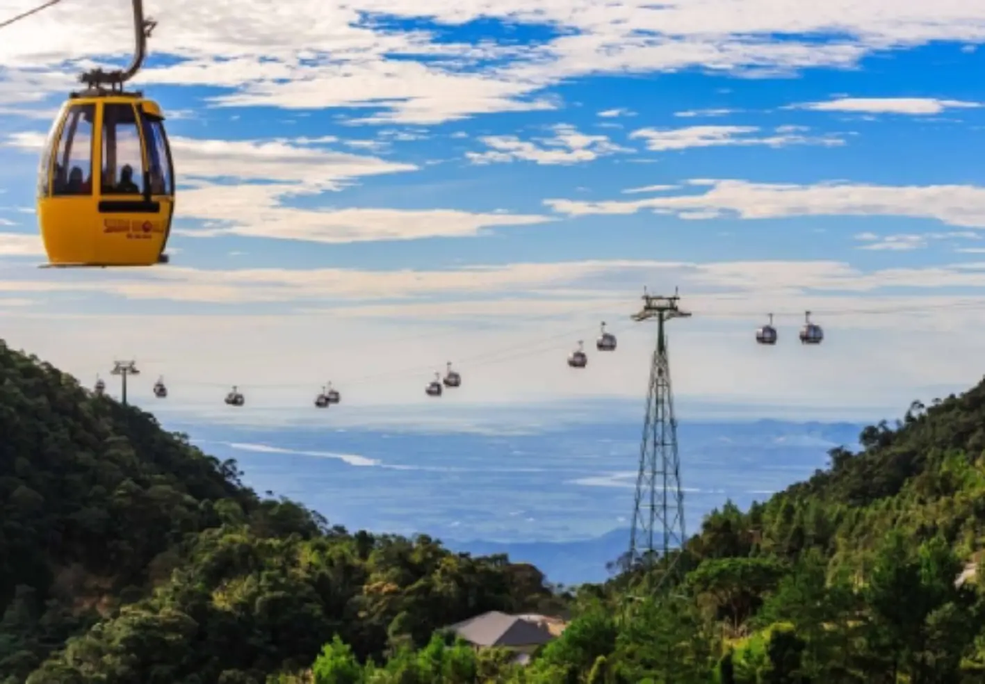 Embark on a Blue Mountains Day Tour 