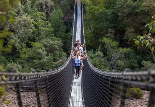 Experience the Tahune AirWalk 