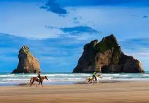 Explore New Zealand’s West Coast