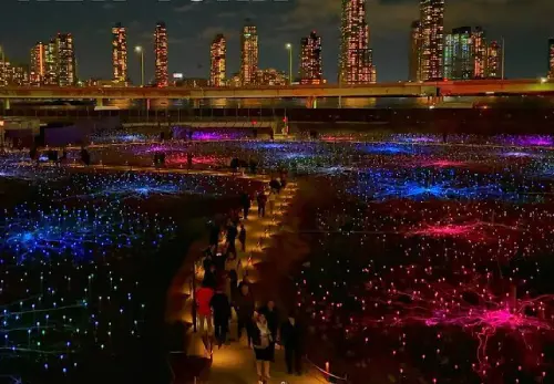 Field of Light Experience 
