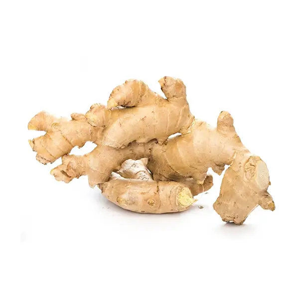 GINGER