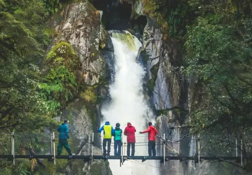 Hike Part of the Milford Track