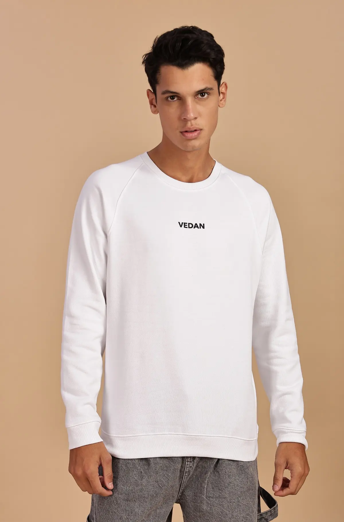 Vedan Minimal White Sweatshirt for Men