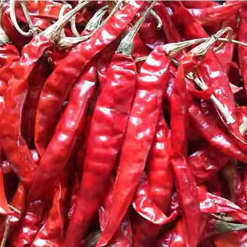 RED CHILLI 100 GM