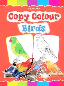Copy Colour : Birds