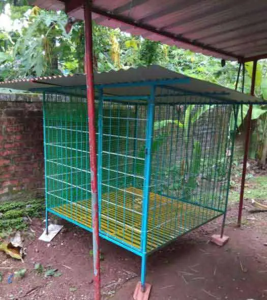 dog cage