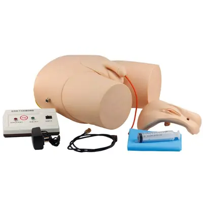 Electronic Urethral Catheterization and Enema Training Simulator (GENERAL DOCTOR)