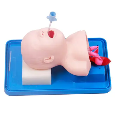Neonate Intubation Training Model (GENERAL DOCTOR)