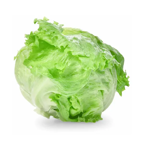 جبل الخس الجليدي