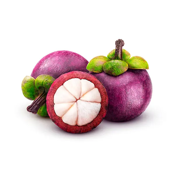 MANGOSTIN