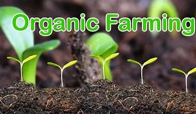 MOOC - Organic farming