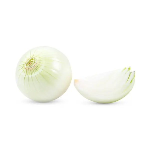 ONION WHITE