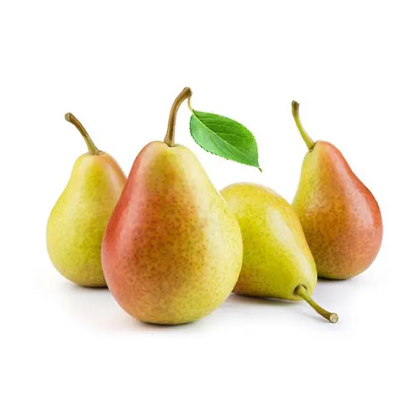 PEAR ROSEMARY
