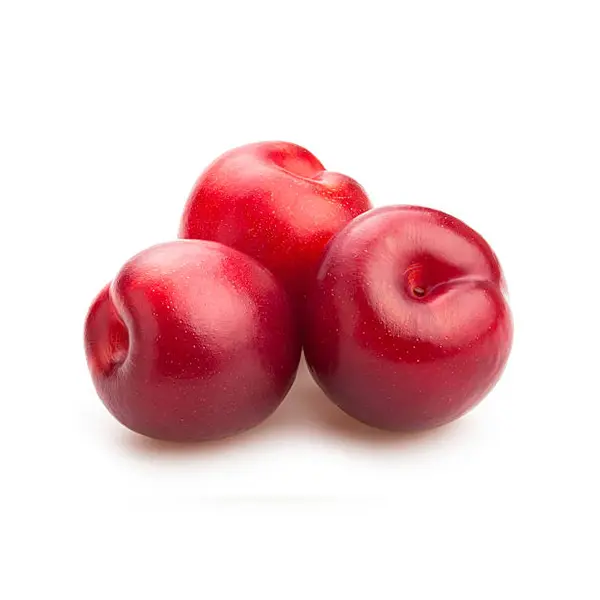 RED PLUM