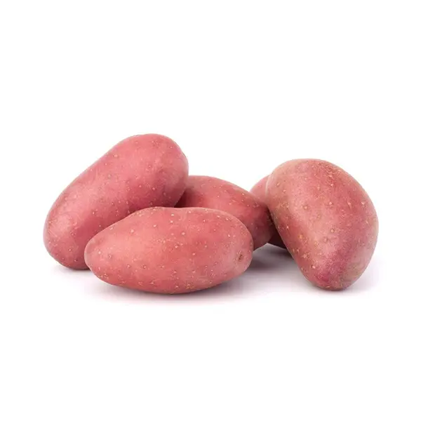 RED POTATO