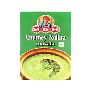 MDH Pudina Chutney Masala 100g