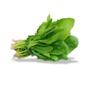 Spinach