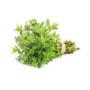 Thyme